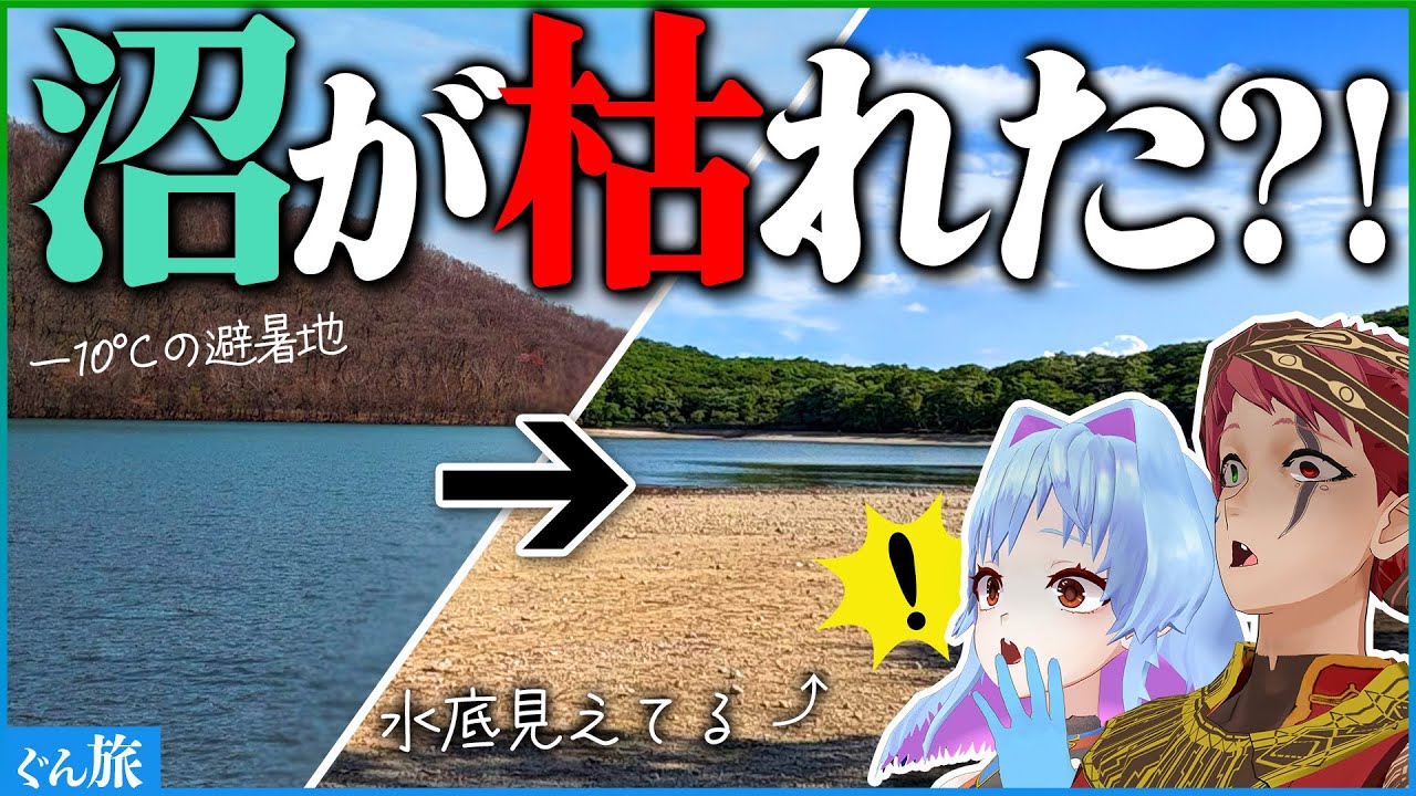 沼が半分消えた!? 赤城小沼を歩いてみた【ぐんま旅】