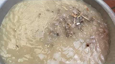 Hướng dẫn cách làm sâm cau đen chuẩn