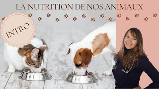 [SERIE NUTRITION ANIMALE] Episode 0 : Introduction, mises en garde