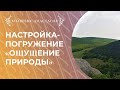 Настройка-погружение «Ощущение природы»
