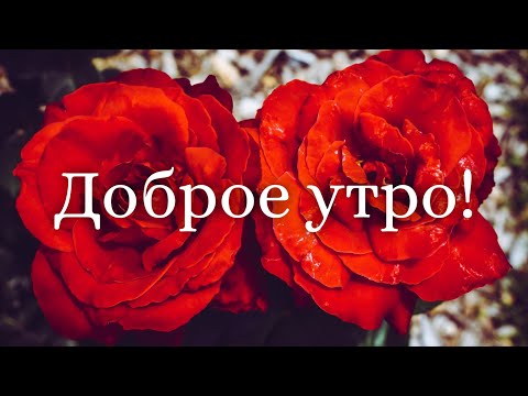 Желаю Самого Доброго Солнечного Утра! Шикарная Музыкальная открытка С ДОБРЫМ УТРОМ 1 Мая!
