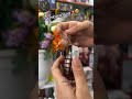 Video Image