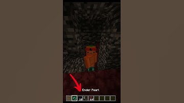 How To Get on Top of The Nether Roof! (Easiest Way)