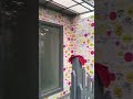 #song #gstar #decoration #desicomedy #lifeisbutadream #ihavethisthingwithplants