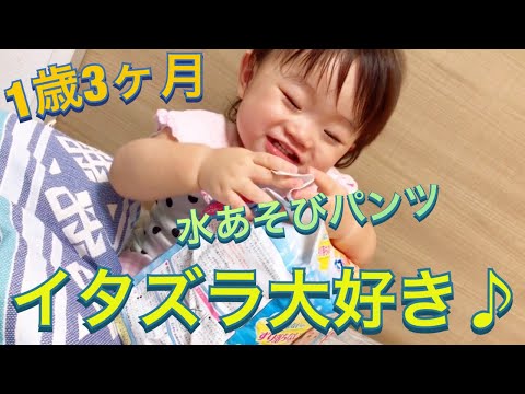 1歳3ヶ月 楽しそうにイタズラする雫ちゃん
