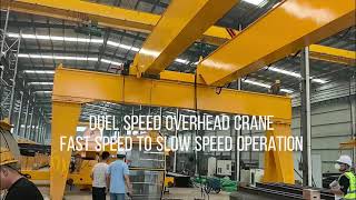 Duel Speed Overhead Crane - Fast Speed to Slow Speed Operation-  6 Ton + 6 Ton 12 Ton Overhead Crane