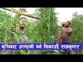         vegetable farming in nepal 