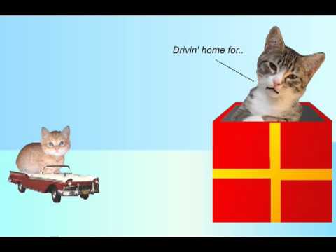 camera iphone 8 plus apk Driving home for Christmas - Chris Rea and the driving kittens