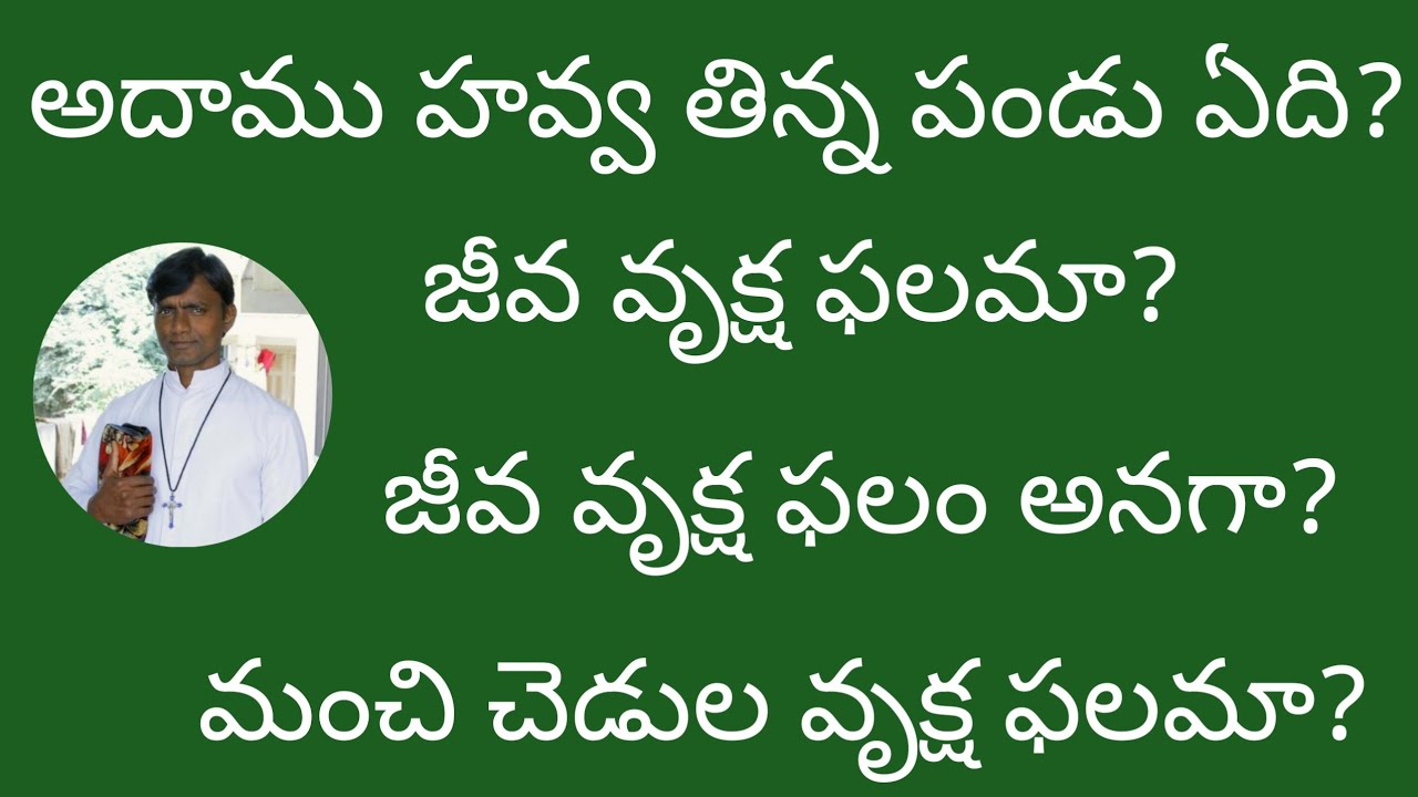జీవ వృక్షం అనగా?// మంచి చెడుల వృక్షం ఏది?// అదాము అవ్వ తిన్న పండు ఏది?//Fr.  Matiadasu Gantela//