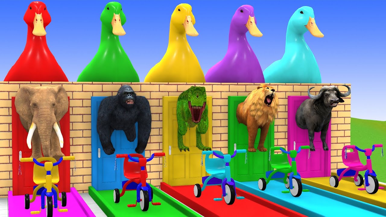 Long Slide Game With Cow Elephant Gorilla Hippopotamus Tiger 3d Animal Game Funny 3d Animals