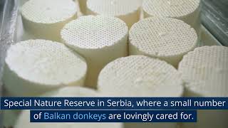 THE MOST EXPENSIVE CHEESE IN THE WORLD- PULE CHEESE