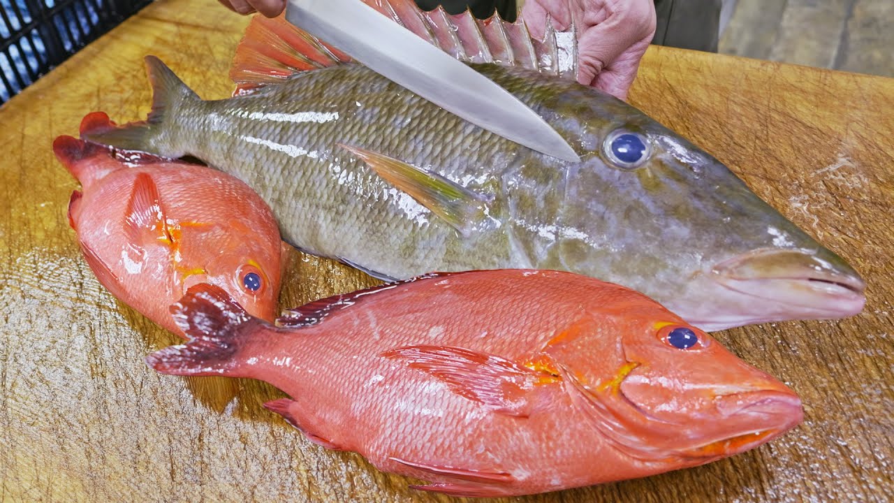 Freshest from the Port！Spangled emperor Catching, Red Snapper Cutting/長嘴來襲！新鮮青嘴龍占魚, 紅笛鯛切割技巧 - 成功漁港
