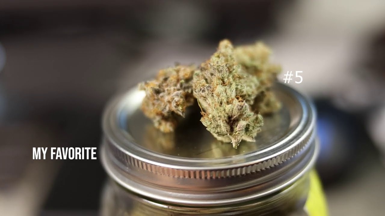 Gakmelon Mars Hydro, Runtz Luxx LED, Sundae Punch Gavita and Thinkgrow LED and more. Garden update.