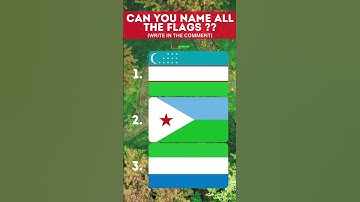 CAN YOU NAME ALL THE FLAGS PT 14 #quiz #challenge #flag #shorts