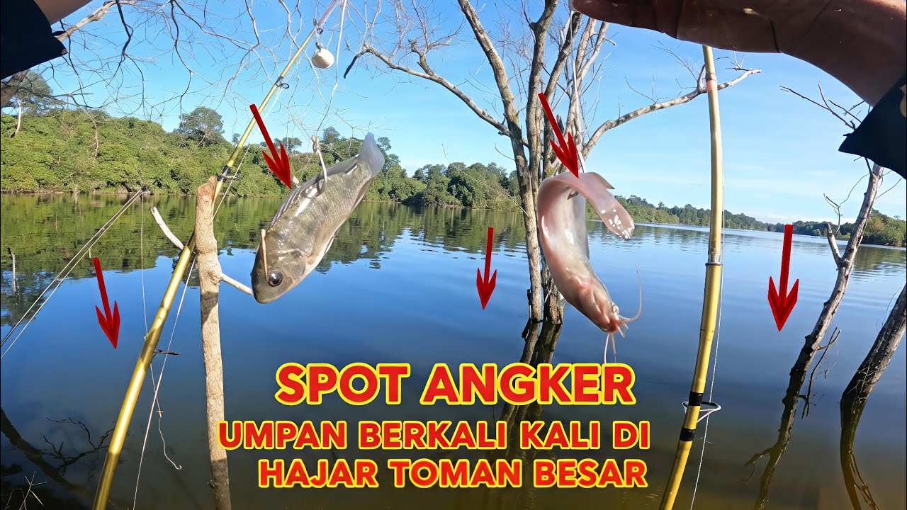 Tragedi Spot Angker.!!Berkali kali umpan dihajar Toman Besar