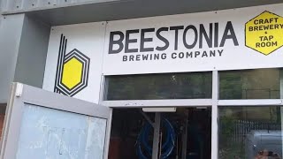 Beestonia Brewing Taproom Review