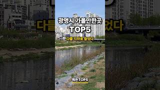광명시 1위는 땅 밑에 있습니다 | 광명시 가볼만한곳 검색량 TOP5