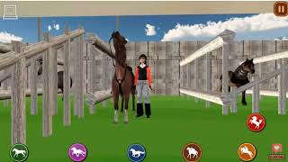 Horse Jumping Show 3D screenshot 3
