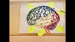 OPV 122 - Compulsory Budge Assignment(celebrating the brain)