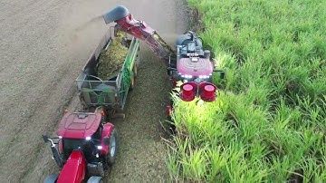 Sugar Cane harvesting in Australia, Mackay QLD