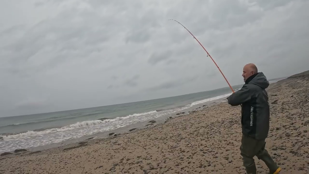 BASS FISHING DINAS