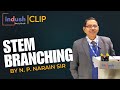 Stem Branching | Biology | Class 11 | Indush Clip | N. P. Narain Sir