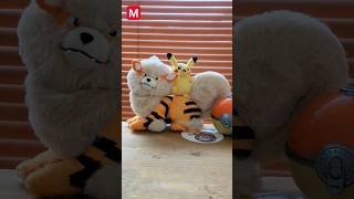 Super limited plush from Pokemon Center Okinawa🌊 Arcanine & Pikachu🔥⚡