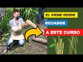 Opinión sobre el Curso de 🎋GUADUA En la Pequeña Granja de Mamá Lulú.🎋