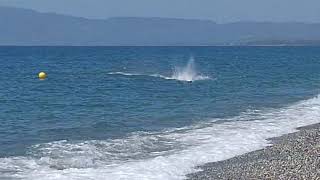 Download Lagu Aeromarine  XXX   without  trim tabs  !!! MP3