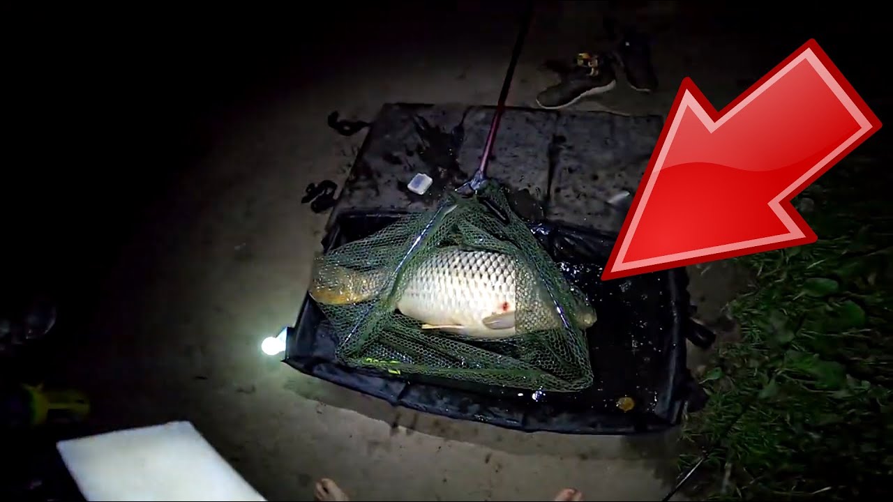 Den kdy jsem chytil životního kapra. Boilie od Rybareni CZ/SK (BEASTCARP)