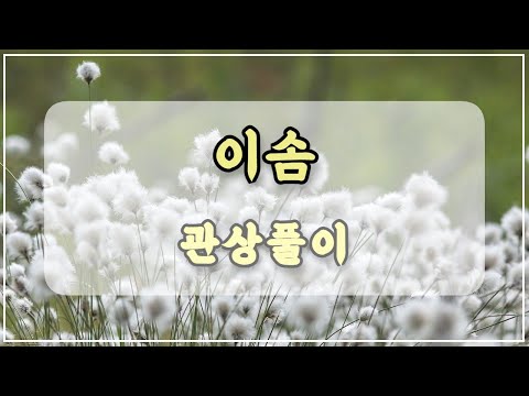 관상과학 모델 이솜 관상