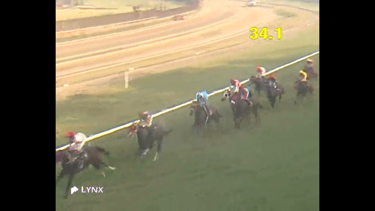 THE ARDENT KNIGHT PLATE  DIV -II  WINNER " EASTERN CROWN" Ridden by Jockey  R.rakesh