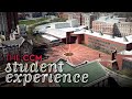 The CCM Student Experience