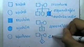 ormBio version2 : พันธุศาสตร์ 07