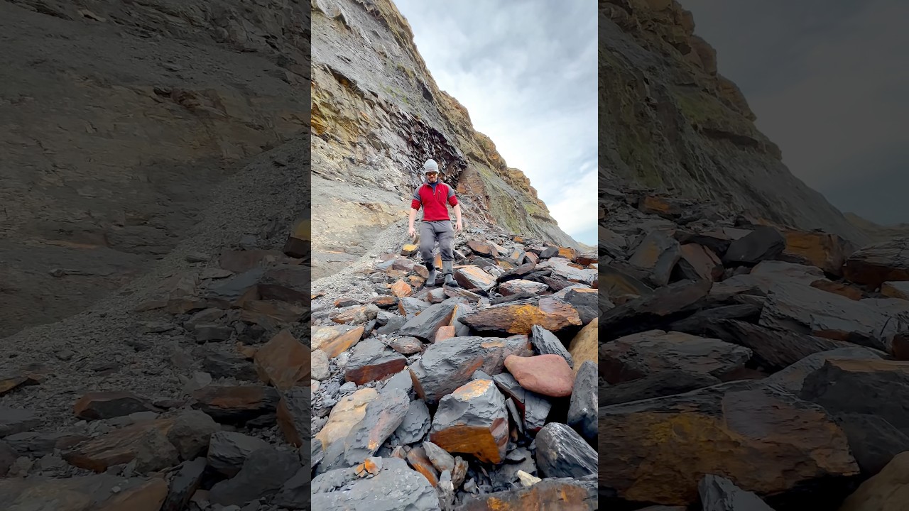 🤯  It’s roughly 180 million years old 🌅🦕  The first fossil we found is a Belemnite ⚒️