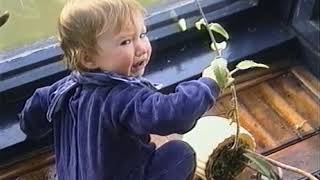 Paradise Of The Heart - Věra Chytilová