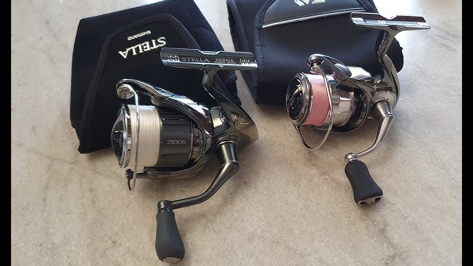 2022 SHIMANO STELLA C2000S / Trout Area Fishing 