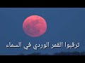 ترقبوا القمر الوردي في السماء ترقبوا القمر الوردي في السماء