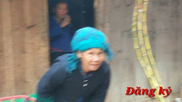 Khám Phá Phiên Chợ Vào Thứ 5 Hàng Tuần Xã Trung Thịnh Thuộc Hà Giang