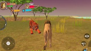 Furious Lion Family Simulator - The King of Jungle | Android GamePlay Walkthrough screenshot 4