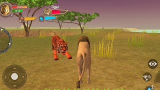 Furious Lion Family Simulator - The King of Jungle | Android GamePlay Walkthrough screenshot 5