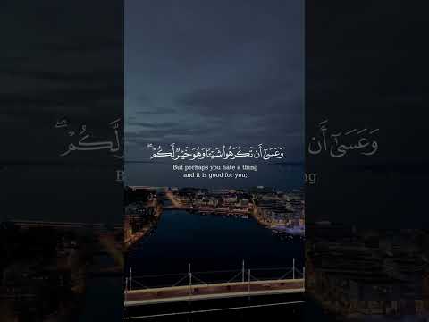 كتب عليكم القتال و هو كره لكم و من سورة البقرة بصوت الشيخ ياسر الدوسري