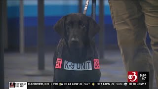 TSA canine from Burlington airport featured in 2026 calendar