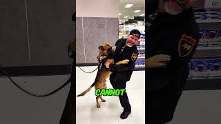 K9 Reunites With First Ever Handler