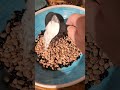 Prepper tip~OLD dry beans will never get soft unless.....