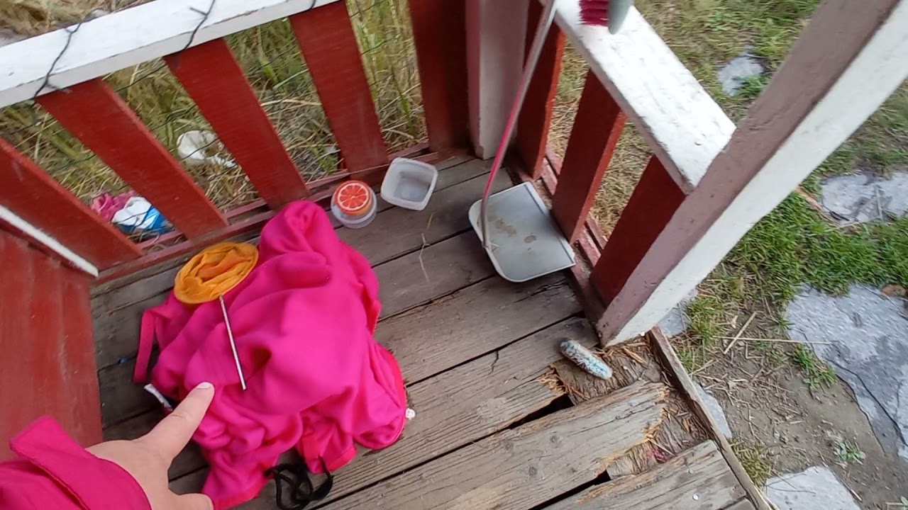 Ilta talli ja tallin esittely video ei editoitu