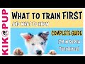 أغنية COMPLETE GUIDE to PUPPY TRAINING - What to train FIRST