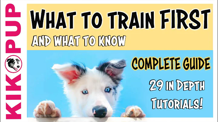 COMPLETE GUIDE to PUPPY TRAINING - What to train FIRST