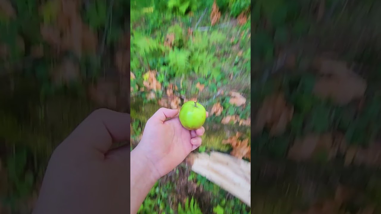 Check Back In 20 Years...