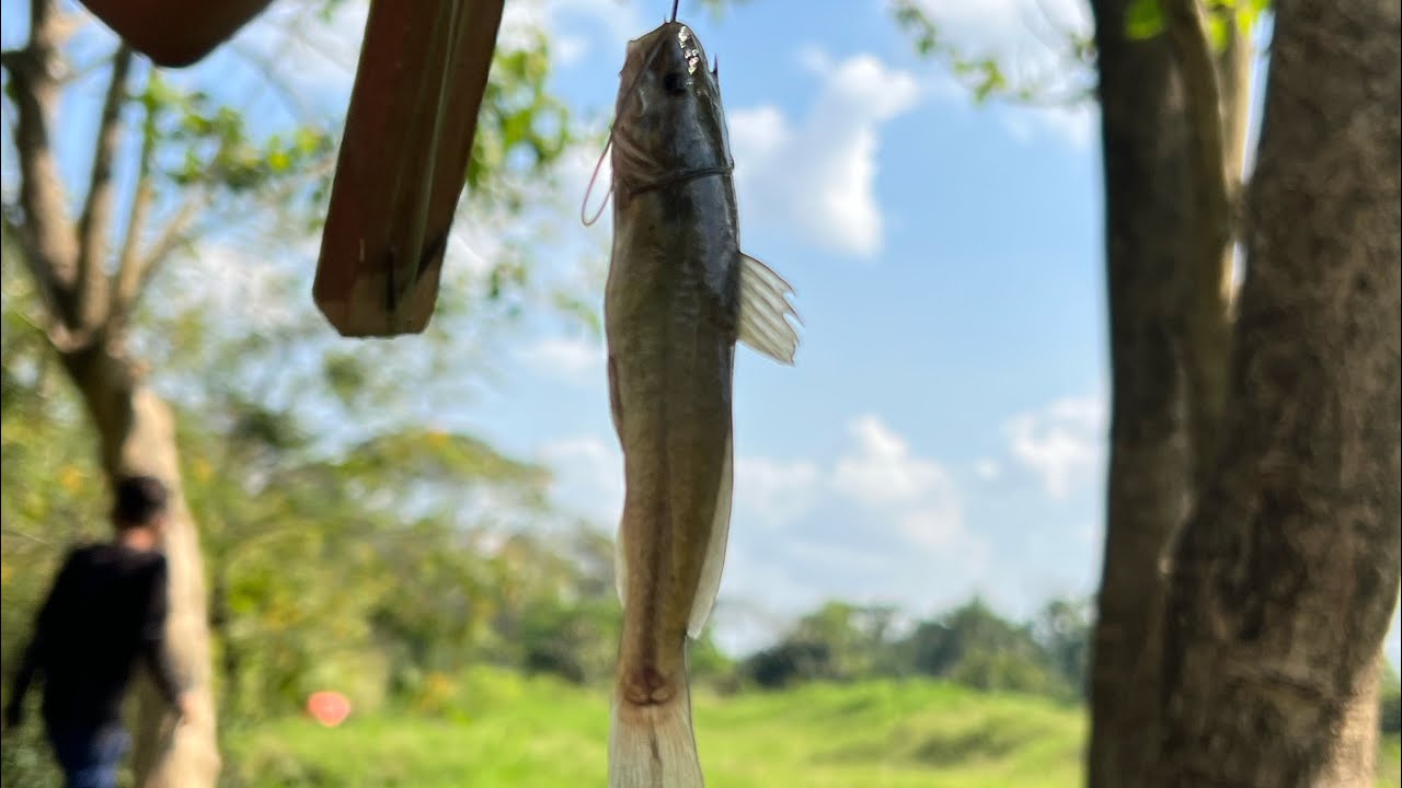 Un día de pesca tranquilo🎣 / Mini Vlog
